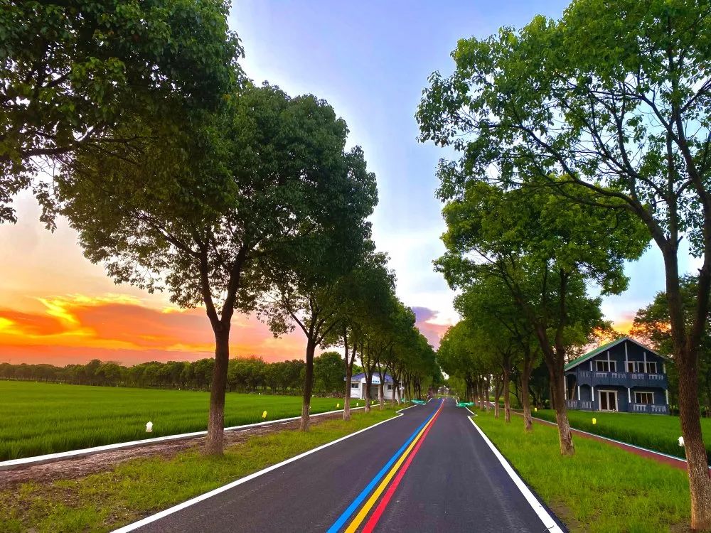 太仓东林村